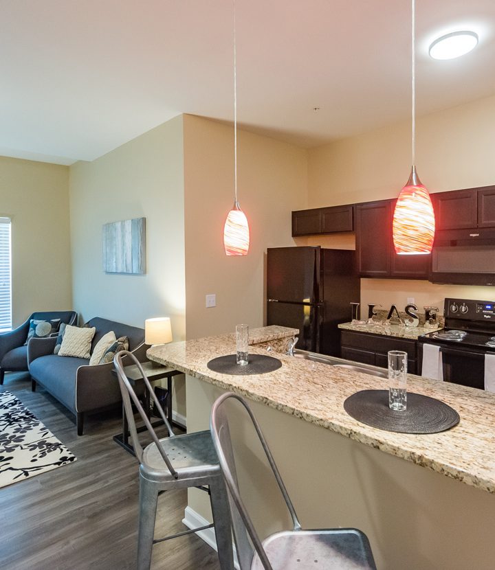 Stunning Luxury Apartment Complex Amenities image